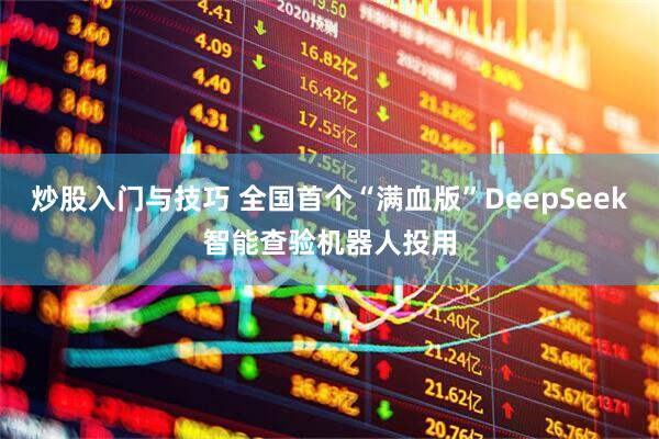 炒股入门与技巧 全国首个“满血版”DeepSeek智能查验机器人投用
