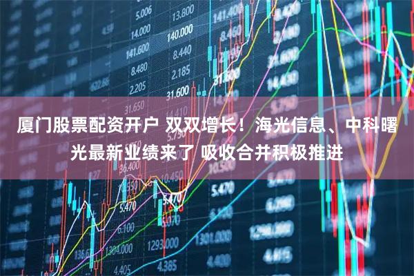 厦门股票配资开户 双双增长！海光信息、中科曙光最新业绩来了 吸收合并积极推进